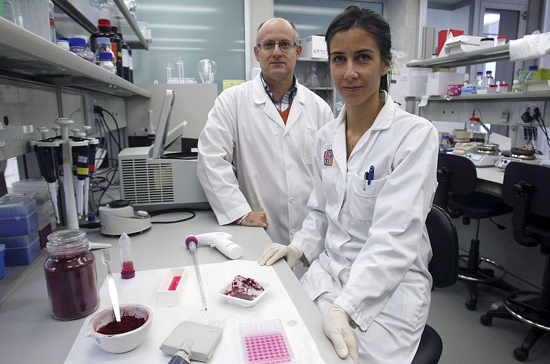 La flor de hibisco reduce la tensión, el colesterol y la diabetes en pacientes obesos