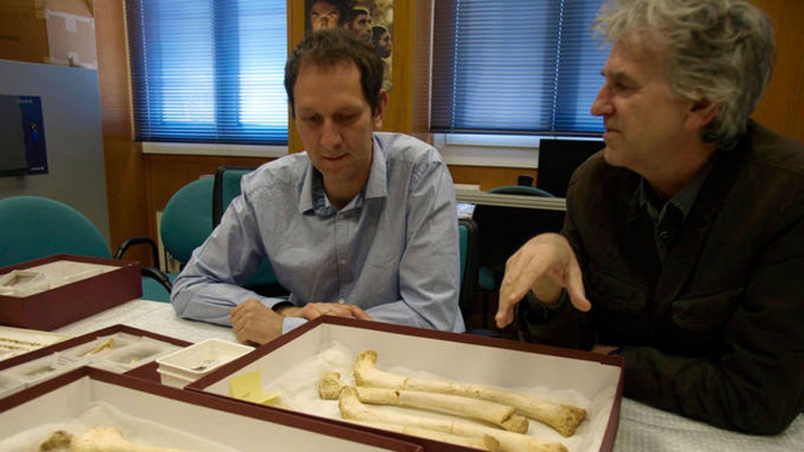 Los pobladores de Atapuerca  tenían antepasados euroasiáticos