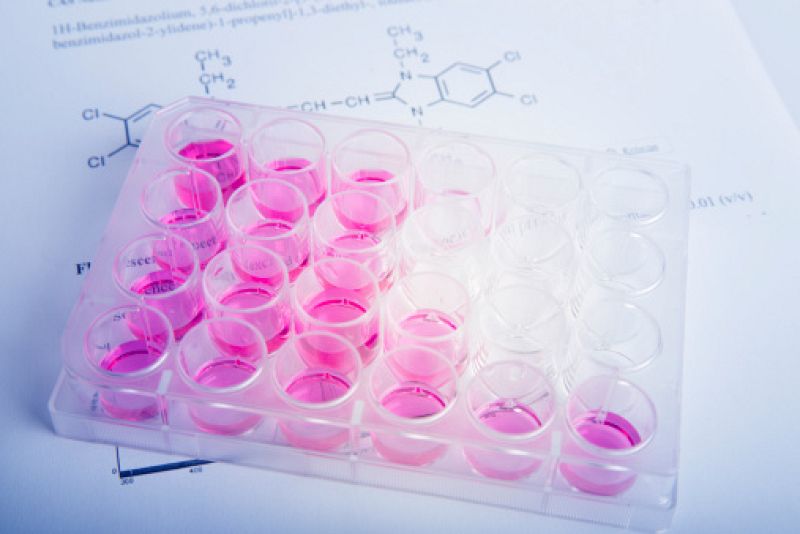 Una investigación sobre células madre del CNIO, descubrimiento del año según Nature Medicine