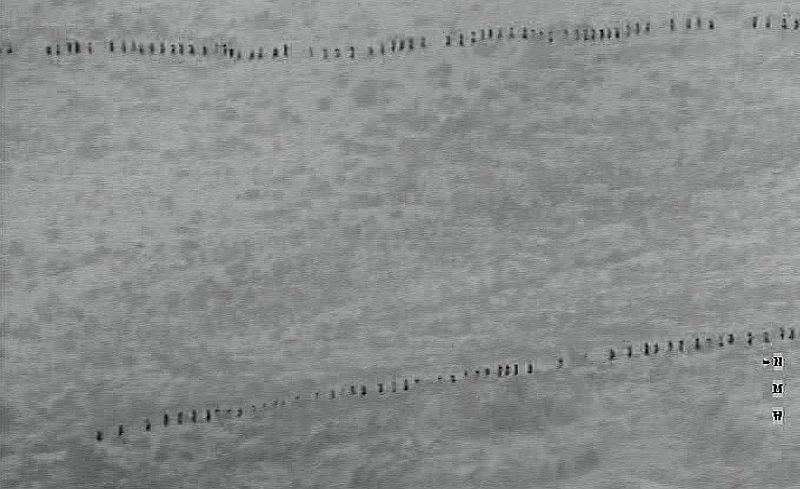 La Guardia Civil y Marruecos abortan un asalto de unos mil inmigrantes a Melilla