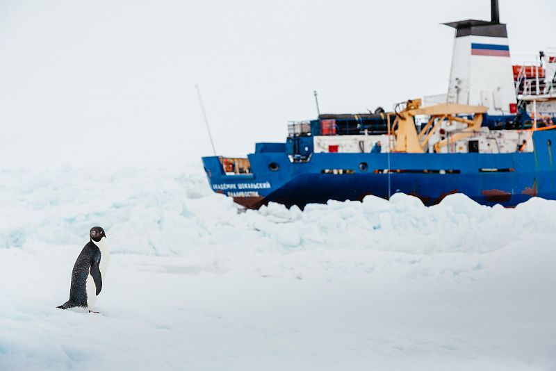 Los ocupantes del barco ruso atrapado en la Antártida pasarán el fin de año en medio del hielo