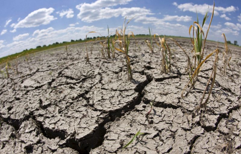 El medio ambiente preocupa a los españoles