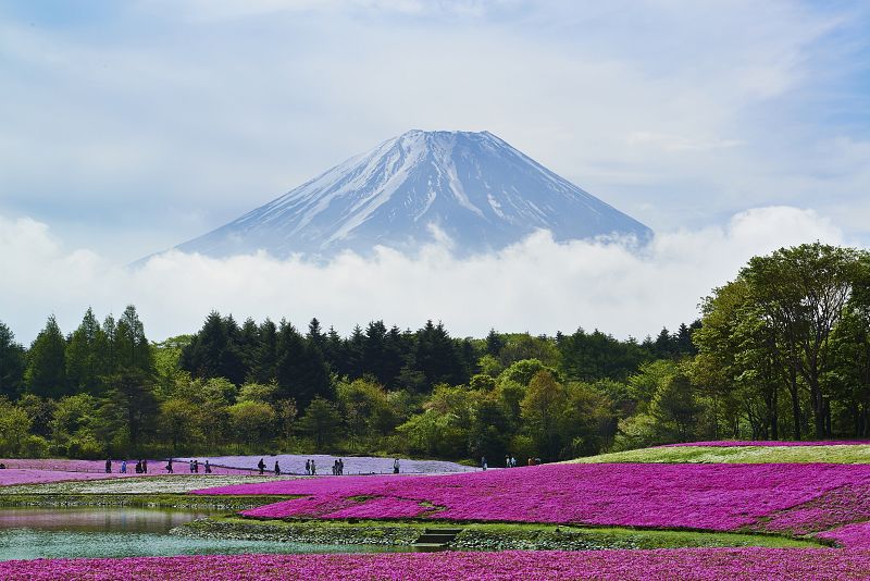 Japón e Israel logran sendos récords de turistas extranjeros en 2013
