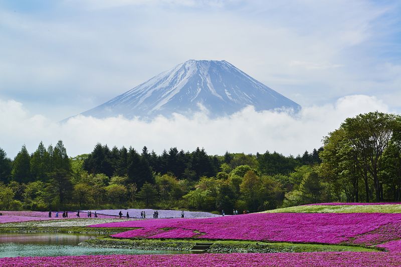 Japón e Israel logran sendos récords de turistas extranjeros en 2013