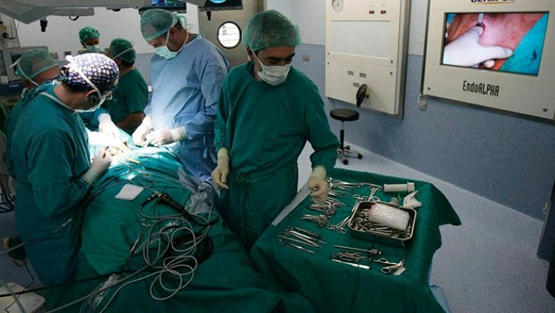 España alcanza nuevo récord de trasplantes y duplica los nuevos donantes de médula en 2013