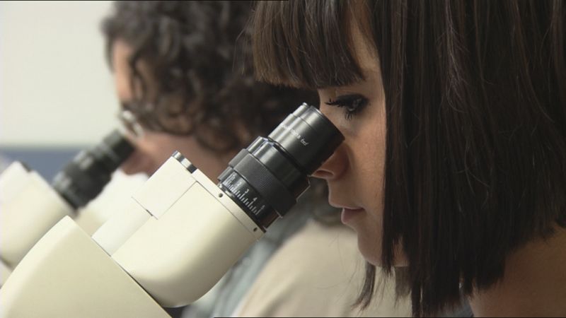 El número de parados menores de 25 años bajó en 53.800 personas respecto al tercer trimestre