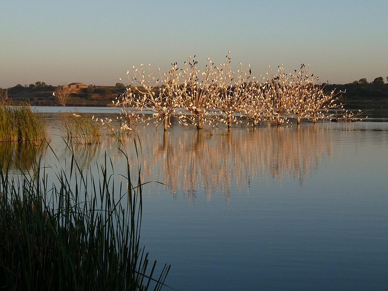 La ONG Seo/BirdLife denuncia que "arrastramos una política hidrológica de otro siglo"