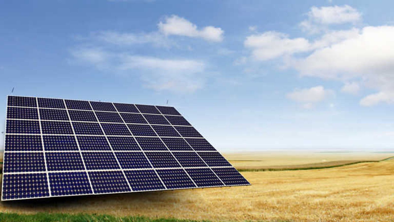 El escarabajo verde - Eclipsados - ver ahora