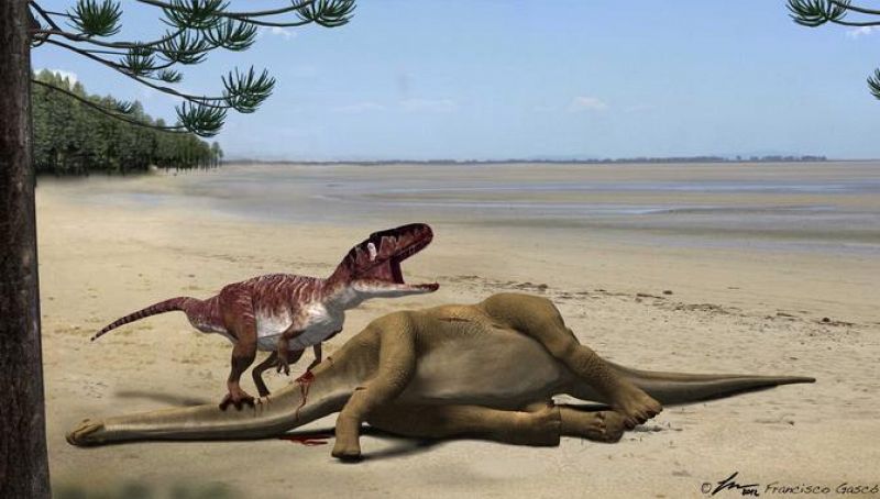 Identifican nuevos fósiles de grandes dinosaurios carnívoros en Teruel
