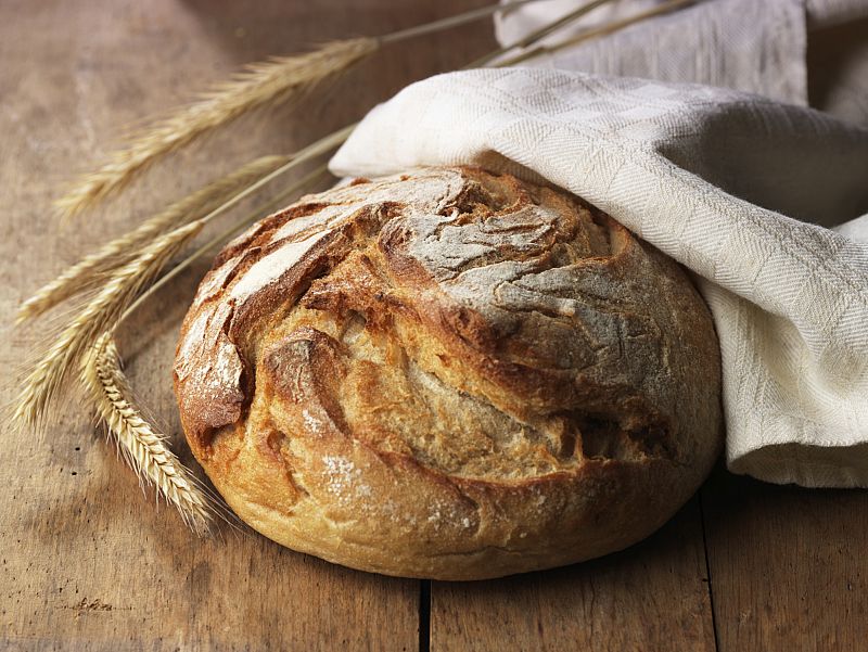El CSIC desarrolla un pan de trigo modificado genéticamente apto para celíacos