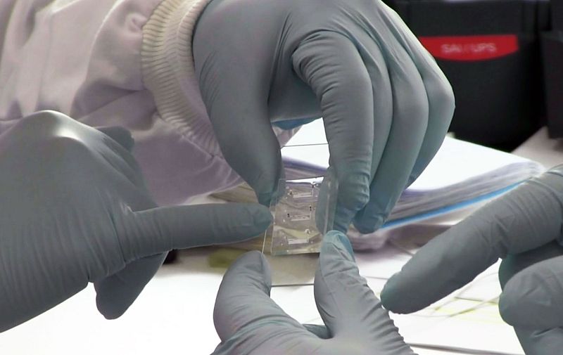 Crean en España el primer bazo dentro de un chip capaz de actuar como este órgano humano