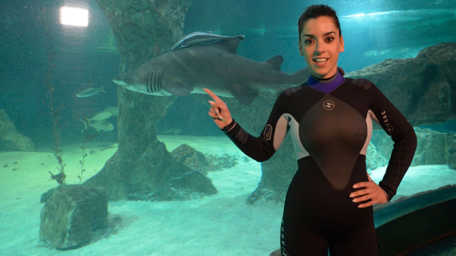 Eurovisión 2014 - Ruth Lorenzo cumple su promesa y bucea entre tiburones - Eurovisión | Ver