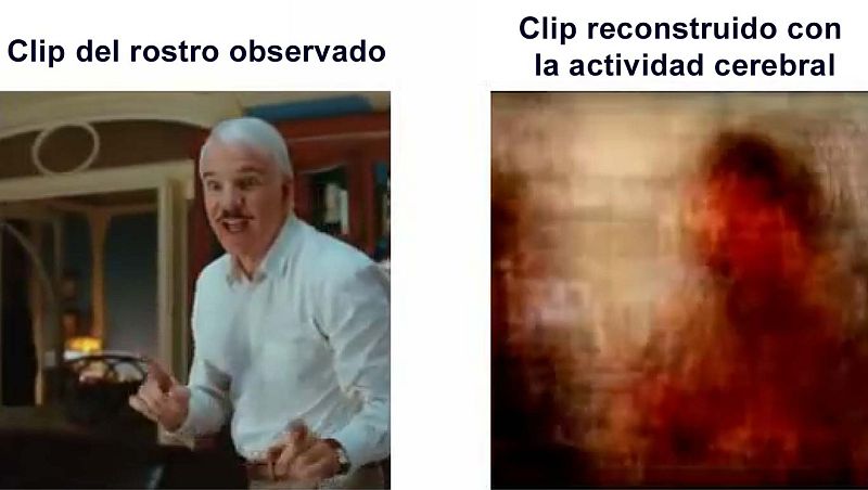 Científicos investigan cómo detectar los rostros en los que piensa nuestro cerebro