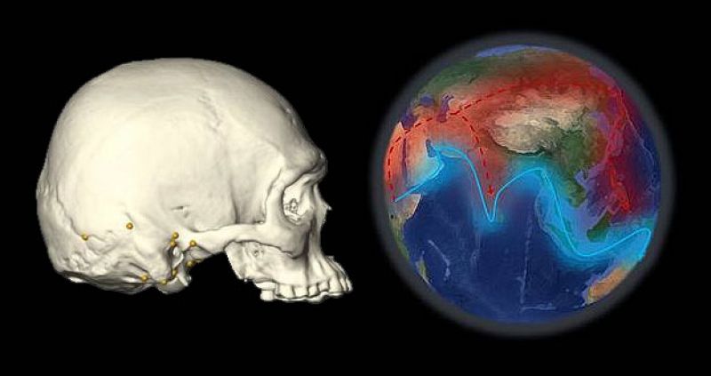 Los humanos modernos de África empezaron a migrar a Europa y Asia hace 130.000 años