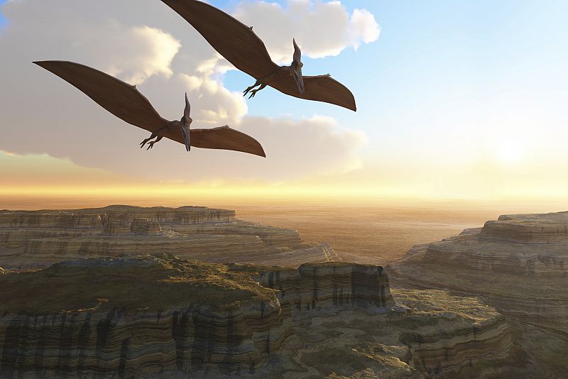 Descubren la especie más primitiva de reptiles voladores, de hace 163 millones de años