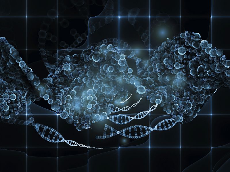 Una bacteria es el primer organismo vivo que añade letras nuevas al alfabeto del ADN