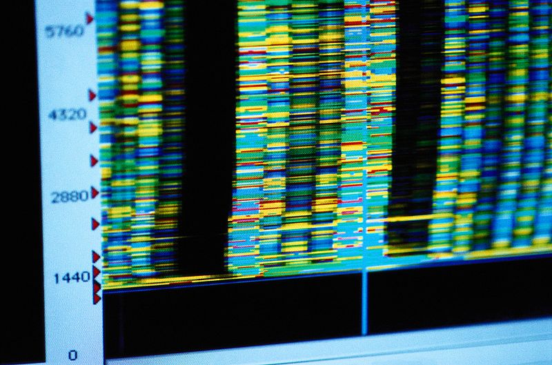 España pone en marcha la segunda base de datos de genoma del mundo