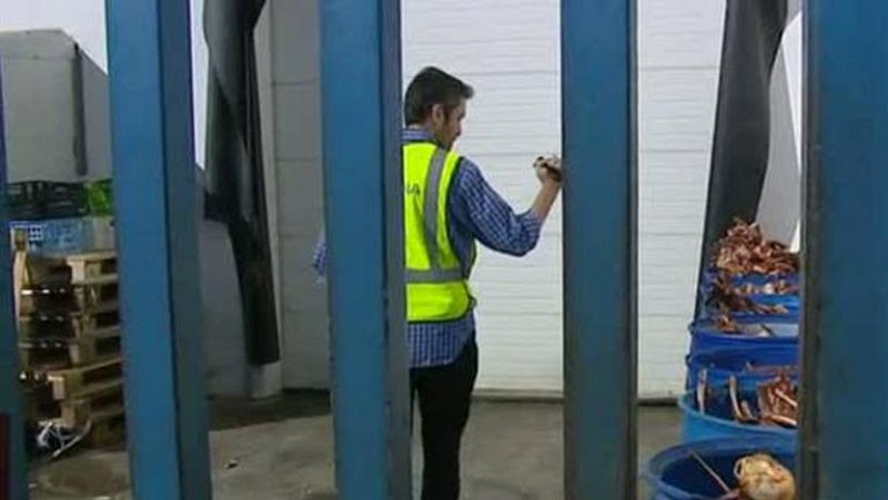 La Guardia Civil detiene a cinco personas en una operación contra la venta ilegal de carne caballo