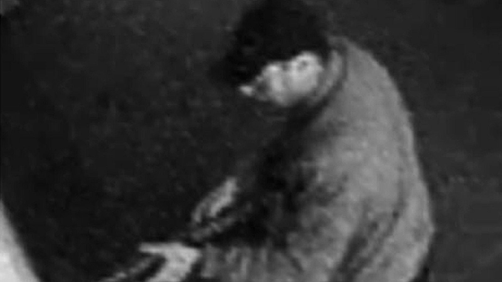 Detenido el principal sospechoso del ataque al Museo Judío de Bruselas