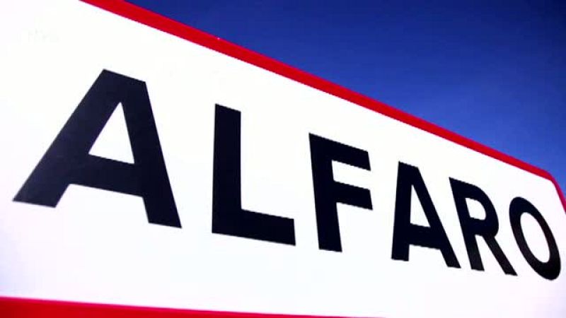 Alfaro, el pueblo preferido de las cigüeñas