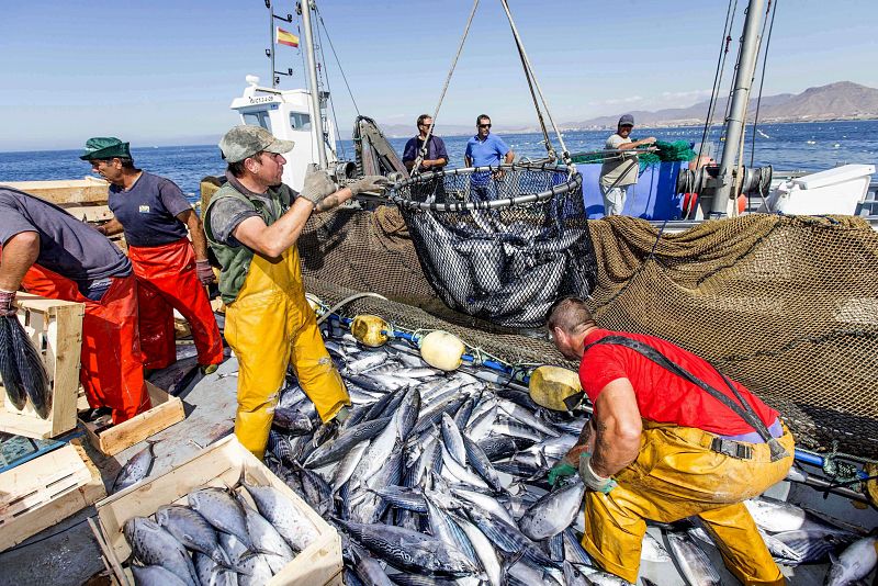 La comisaria de Pesca confirma que España ha agotado su cuota de atún rojo "en 24 horas"