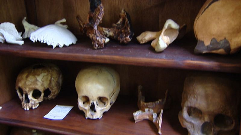 Hallan 17 cráneos en Atapuerca que aportan nueva luz sobre los neandertales