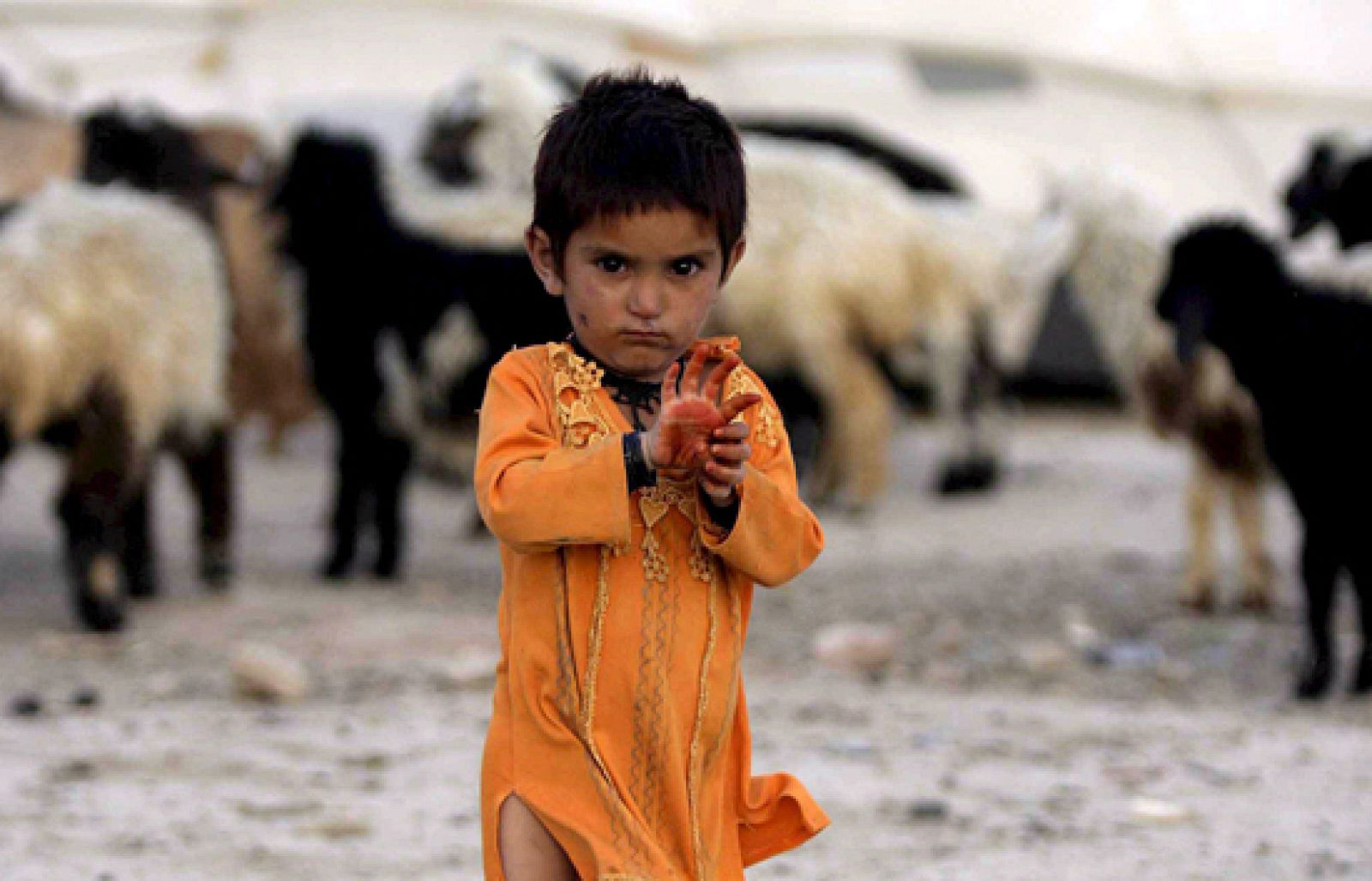 Incrementa el número de personas que se ven obligadas a abandonar sus hogares por conflictos u otras circunstancias. Entre la población afgana e iraquí se encuentra el mayor número de refugiados.
