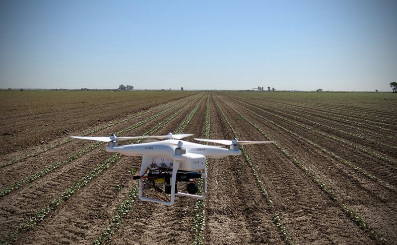 Drones y herramientas de precisión para vigilar las malas hierbas en las cosechas