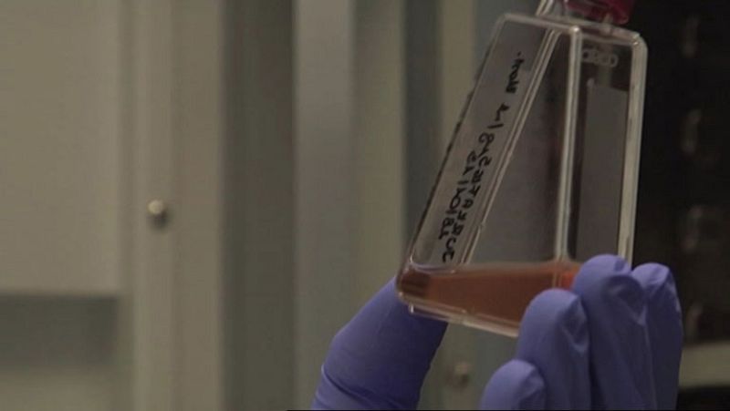 Un gel probado en ratones permite prevenir la transmisión sexual de VIH hasta 24 horas