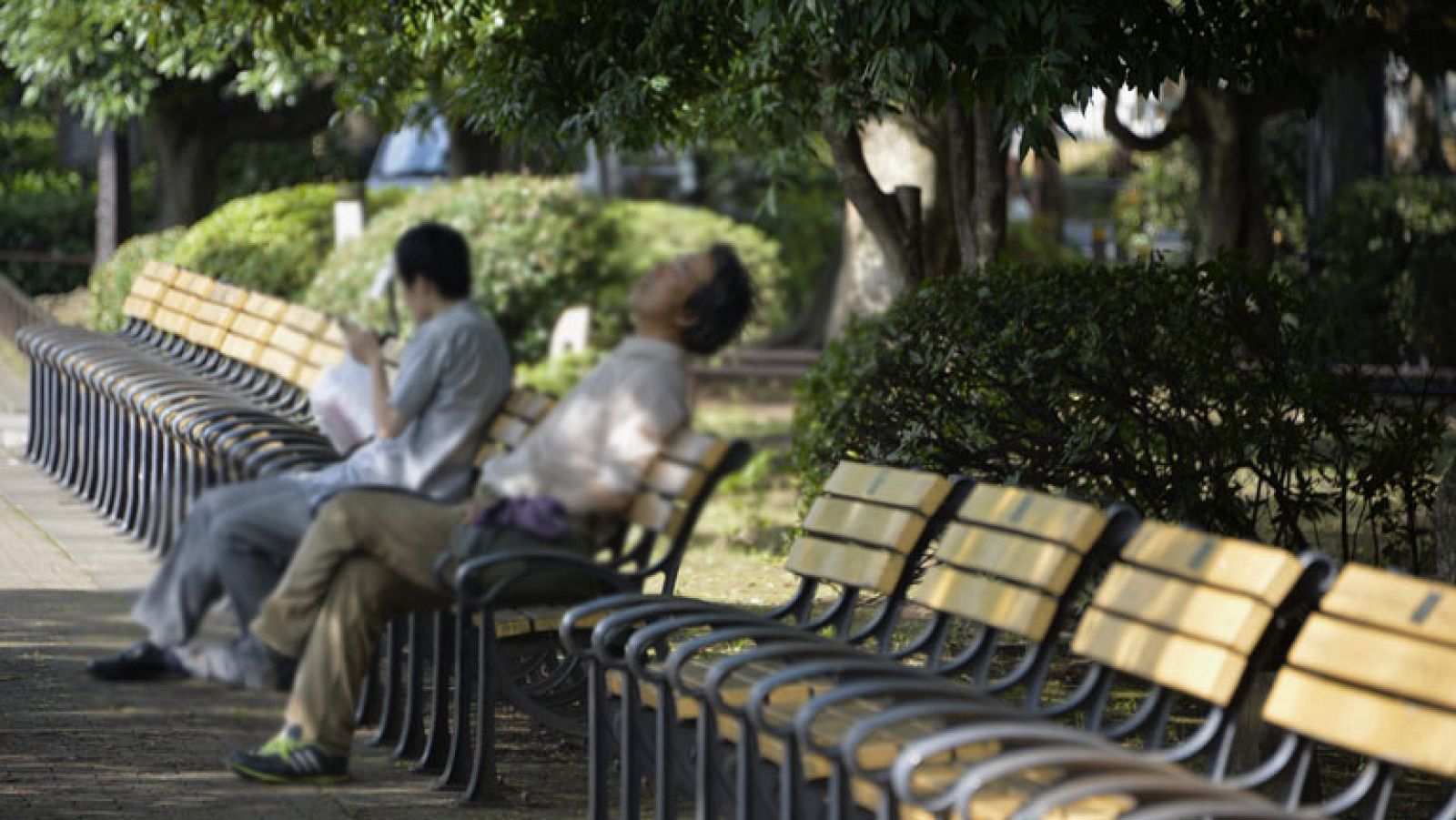 Doce comunidades en alerta por las altas temperaturas que siguen golpeando con fuerza