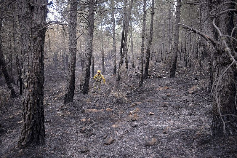 Controlado el incendio de Aleas en la Sierra Norte de Guadalajara tras afectar a 2.100 hectáreas