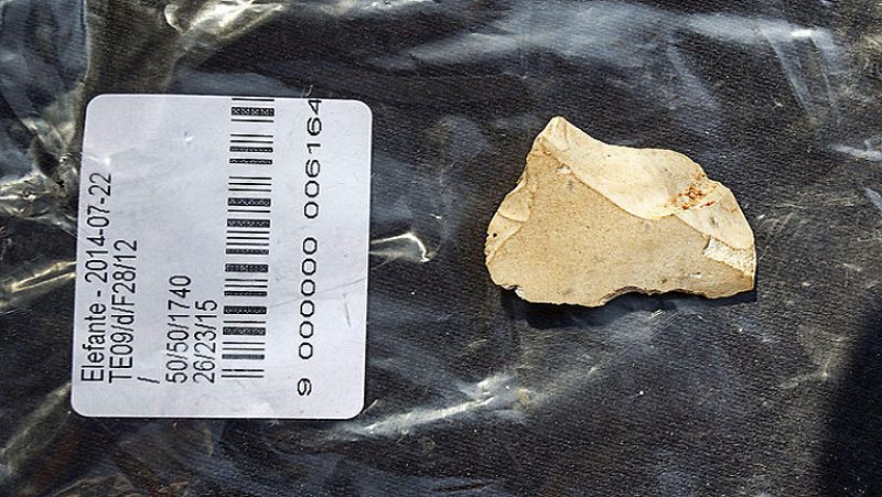 Un hallazgo en Atapuerca permite demostrar la presencia de homínidos hace 1,3 millones de años