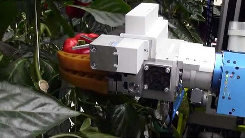 Robots recolectores para trabajar con las cosechas