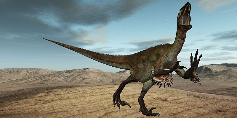 El tamaño de los dinosaurios se redujo durante 50 millones de años hasta evolucionar en aves