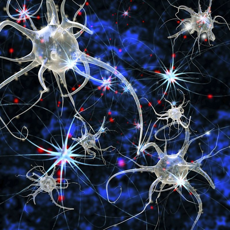Identifican dos sustancias que aumentan la supervivencia de las neuronas en párkinson