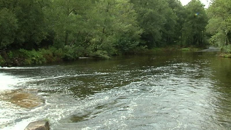 La Xunta sancionará a Aguas de Mondariz por el vertido que ha matado 500 kilos de peces