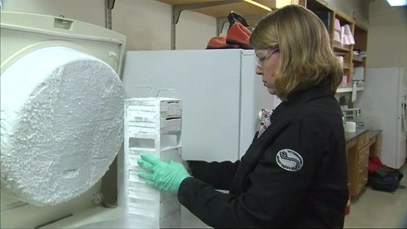 Llega al hospital Carlos III el medicamento para el sacerdote infectado de ébola