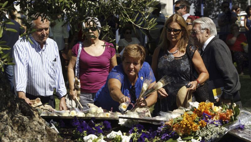 Las víctimas de la tragedia de Spanair sienten que morir en avión "resulta repugnantemente barato"