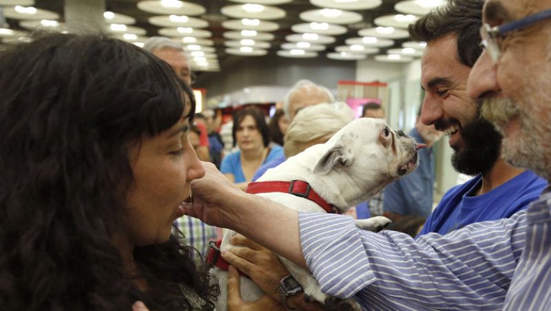 Las familias de los desaparecidos en Indonesia no localizan ninguna "evidencia" de ellos en la isla