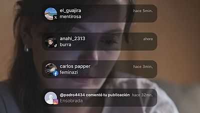 Notificaciones de redes sociales con insultos como "mentirosa", "burra", "feminazi" y "Ensobrada" se superponen a la figura desenfocada de una mujer, ilustrando el acoso online. Notificaciones de redes sociales con insultos como "mentirosa", "burra", "feminazi" y "Ensobrada" se superponen a la figura desenfocada de una mujer, ilustrando el acoso online.