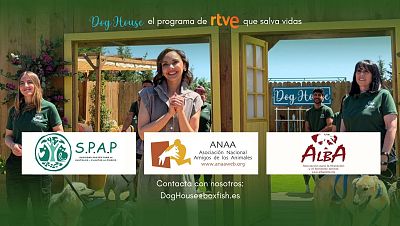 'Dog House': así puedes adoptar con las asociaciones del programa