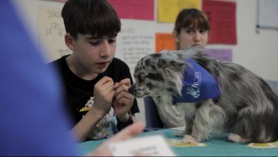 Així funciona la teràpia amb gossos per a infants amb autisme Així funciona la teràpia amb gossos per a infants amb autisme