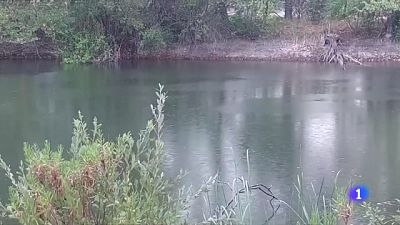 Alerta hidrològica: 150 municipis amb restriccions d'aigua Alerta hidrològica: 150 municipis amb restriccions d'aigua