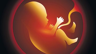 Algunos trastornos psiquiátricos nacen potencialmente en la placenta, según un estudio