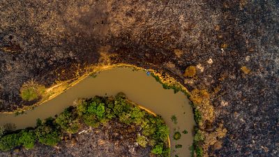 La Amazonía brasileña bate un récord de deforestación en el primer semestre del año