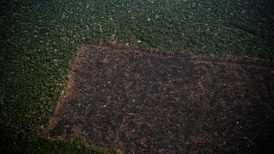 La Amazonía brasileña registra la mayor deforestación de los últimos 15 años