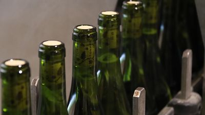 Les exportacions catalanes de vi ja han caigut aquest 2025 pels aranzels als Estats Units Les exportacions catalanes de vi ja han caigut aquest 2025 pels aranzels als Estats Units