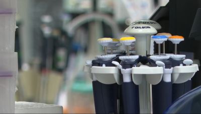 Un análisis permite anticipar la progresión del cáncer desde su nacimiento al fijarse en las huellas que deja en los genes