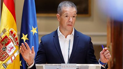 Ánder Gil será propuesto por el PSOE como nuevo presidente del Senado