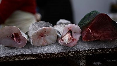 La UE notifica una alerta alimentaria 'grave' tras detectar pescado con anisakis procedente de Marruecos